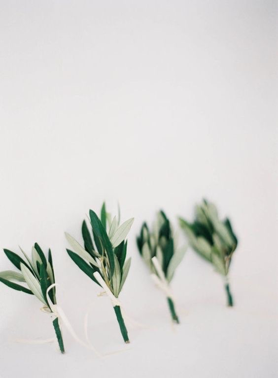Boutonnieres using no blooms and instead using olive branch